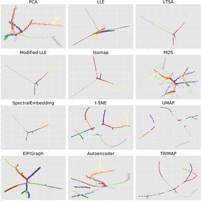 Lizard Brain: Tackling Locally Low-Dimensional Yet Globally Complex Organization of Multi-Dimensional Datasets